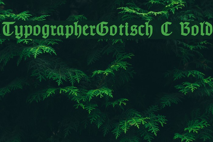 TypographerGotisch C Bold Fuentes examples