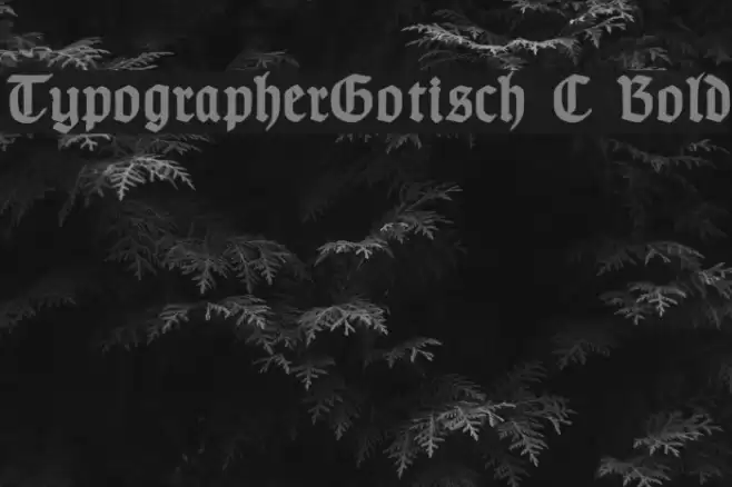 TypographerGotisch C Bold Fuentes examples