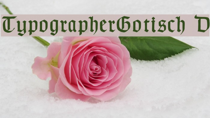 TypographerGotisch D Font examples