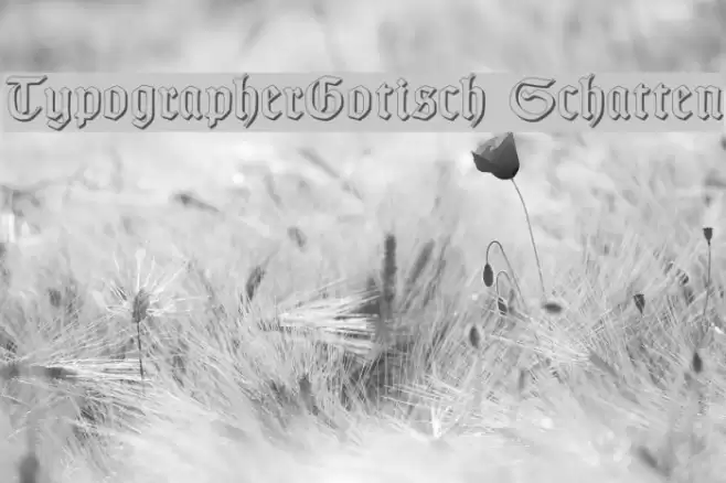 TypographerGotisch Schatten フォント examples