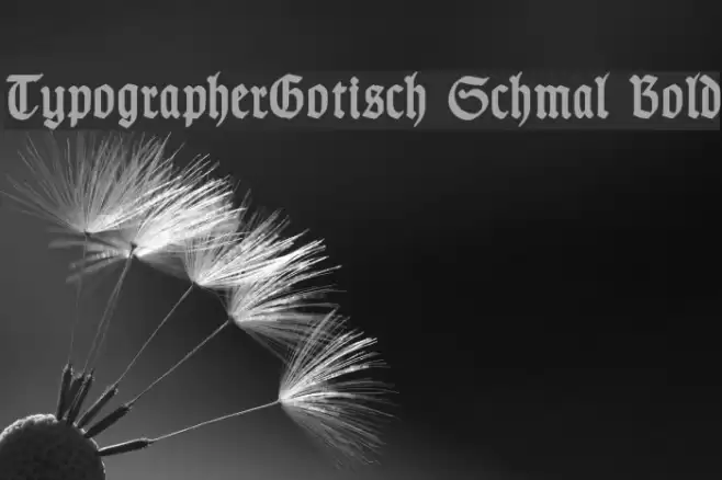 TypographerGotisch Schmal Bold Font examples