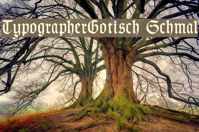 TypographerGotisch Schmal Font examples