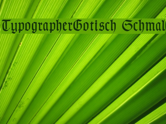 TypographerGotisch Schmal Font examples