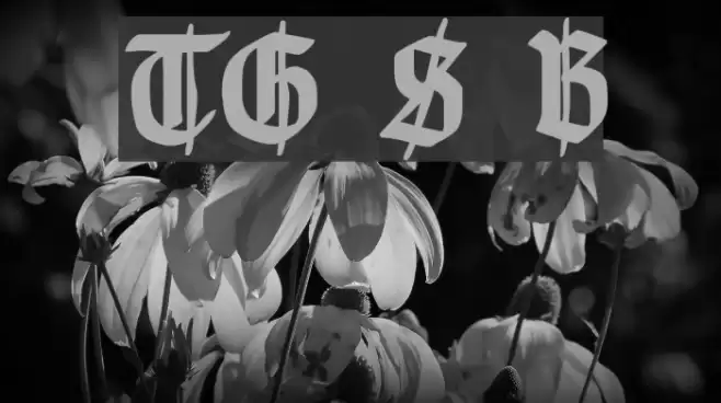 TypographerGotisch Schmuck Bold Font examples