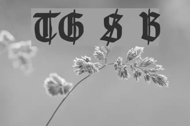 TypographerGotisch Schmuck Bold Font examples