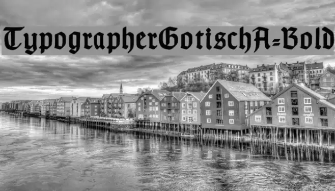 TypographerGotischA-Bold Font examples