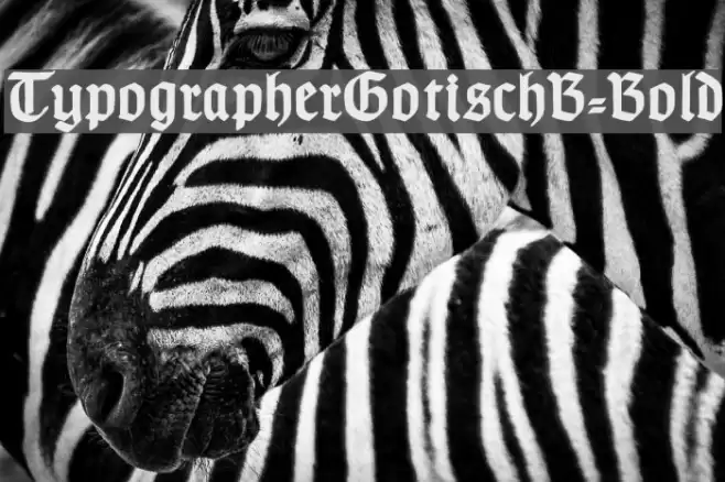 TypographerGotischB-Bold Font examples