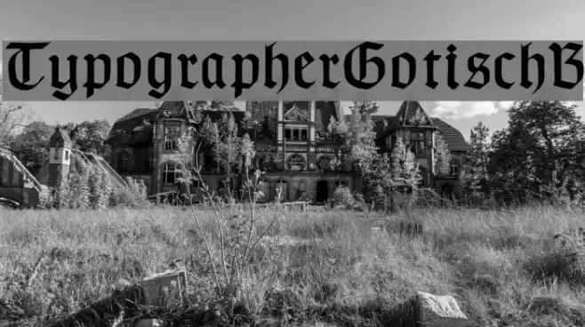 TypographerGotischB Font examples