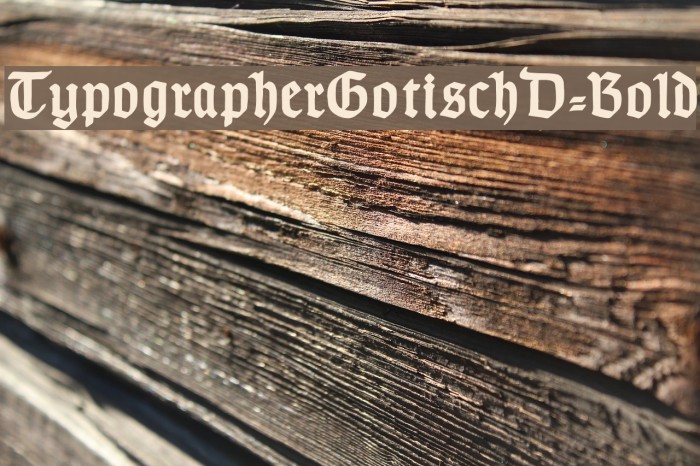 TypographerGotischD-Bold Font examples