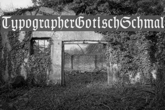 TypographerGotischSchmal Font examples