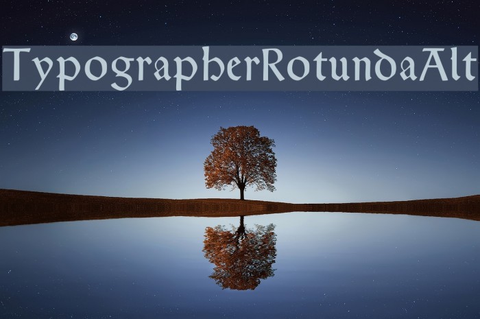 TypographerRotundaAlt Font examples