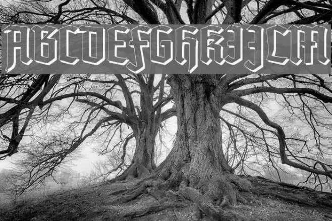 TypographerTextur Schatten Font examples