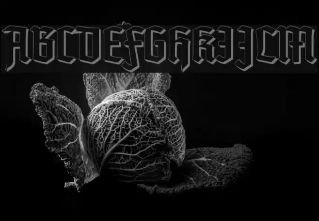 TypographerTextur Schatten Font examples