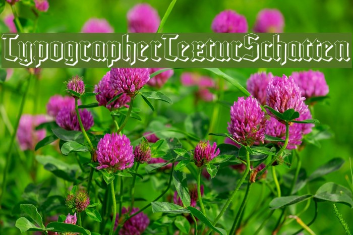 TypographerTexturSchatten Example 1