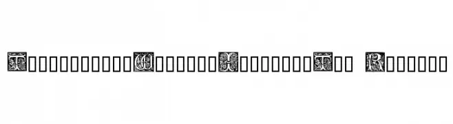TypographerWoodcutInitialsTwo Reduced  Скачать бесплатные шрифты