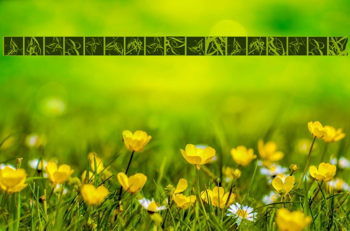 TypographicTangos Example 1