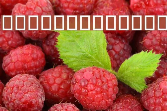 Typography Light Example 1