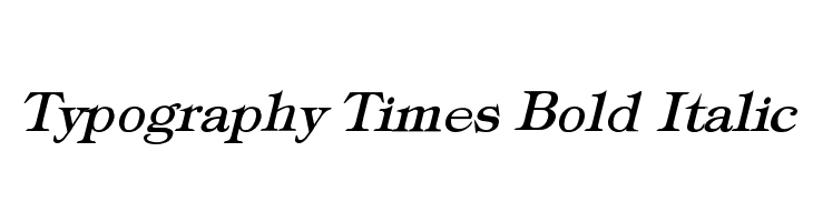 Typography Times Bold Italic Font