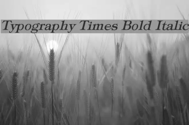 Typography Times Bold Italic Font examples