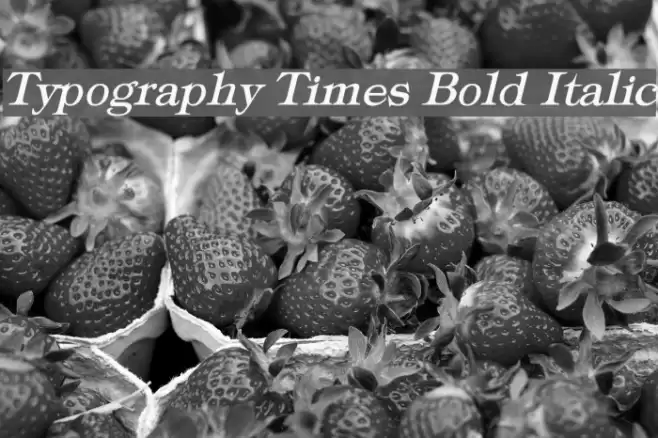 Typography Times Bold Italic Font examples