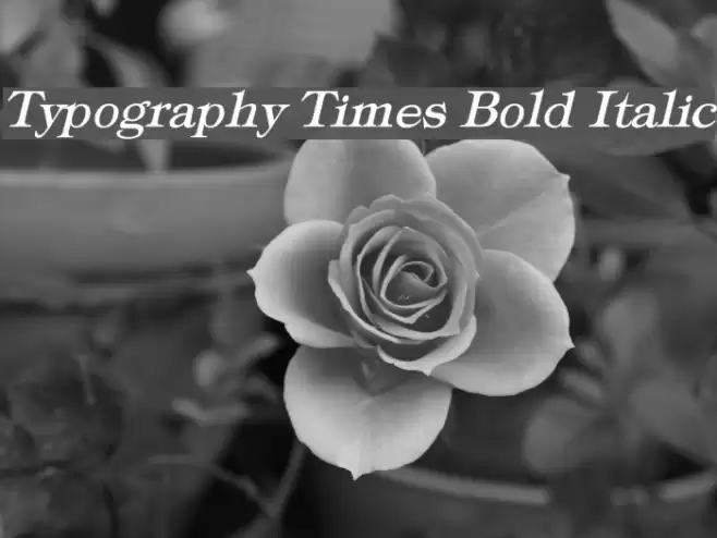 Typography Times Bold Italic Font examples