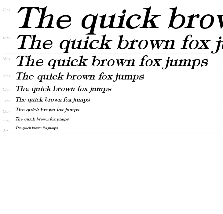 Typography Times Bold Italic Waterfall