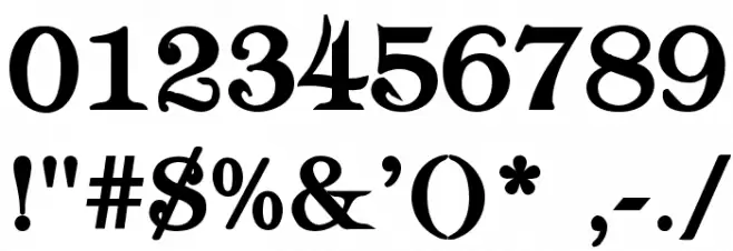 Typography Times Bold Font OTHER CHARS