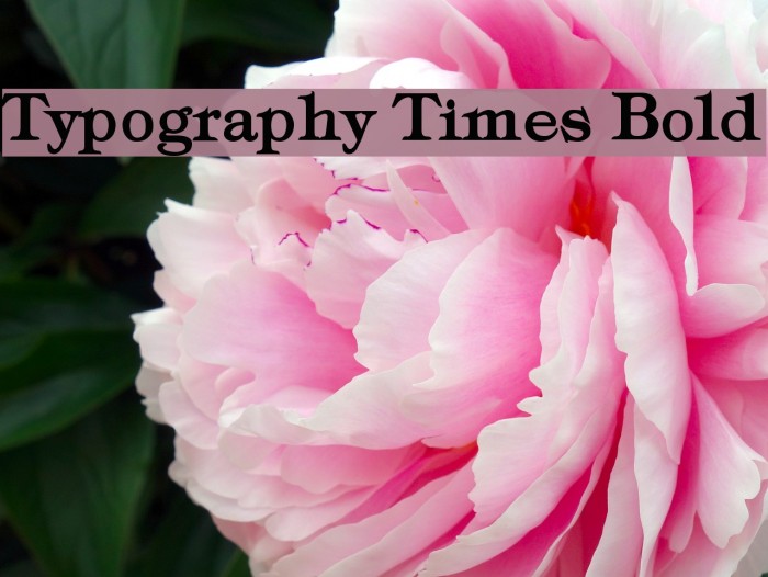 Typography Times Bold Example 1