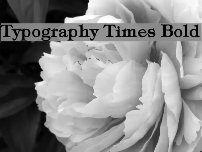 Typography Times Bold Font examples