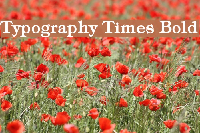 Typography Times Bold Example 2