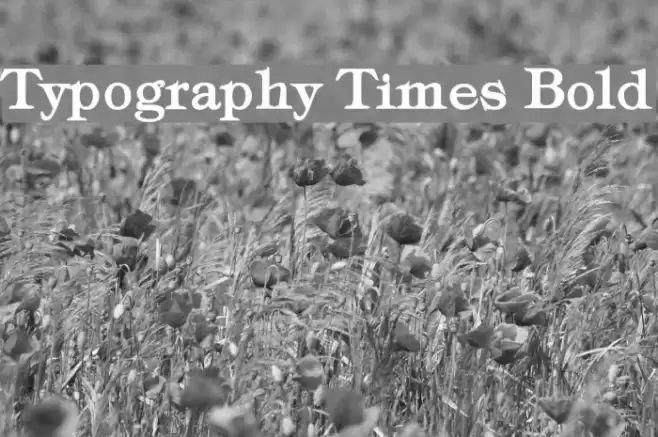 Typography Times Bold Font examples