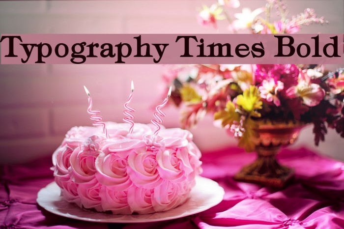 Typography Times Bold Example 3