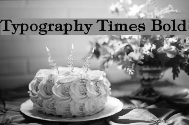 Typography Times Bold Font examples