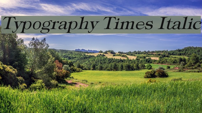 Typography Times Italic Font examples