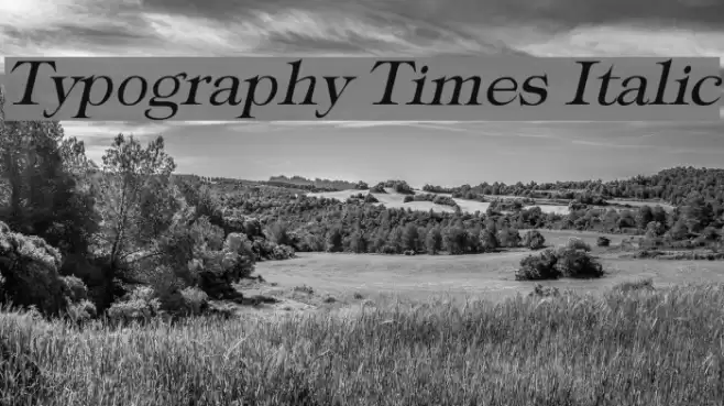 Typography Times Italic Font examples