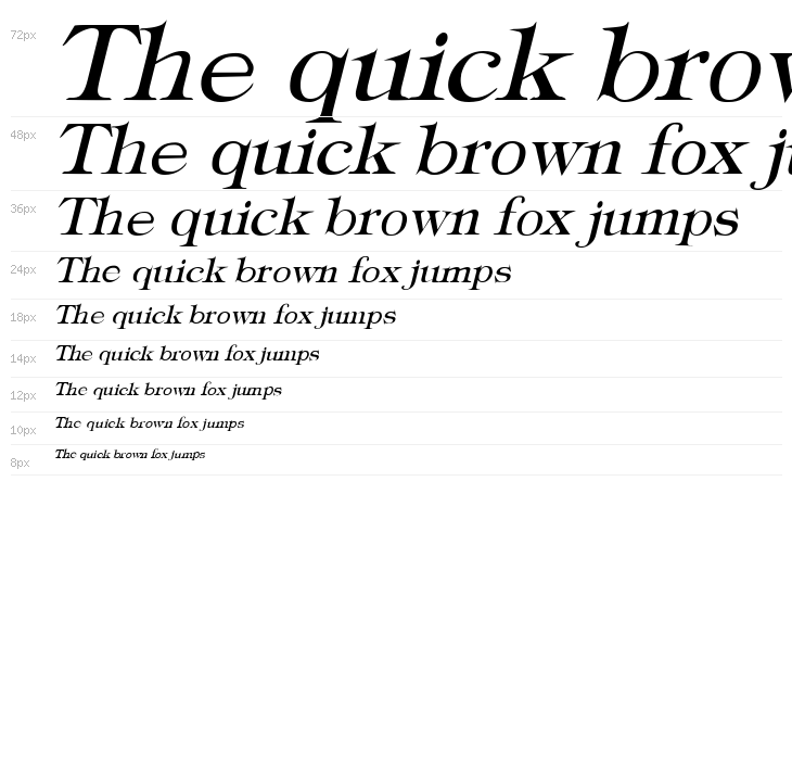 Typography Times Italic Waterfall