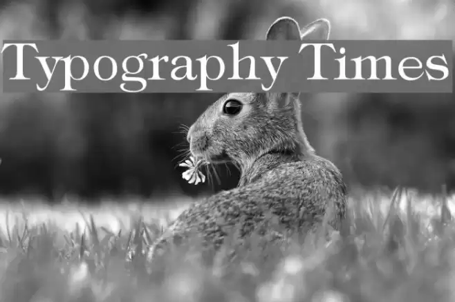 Typography Times Font examples