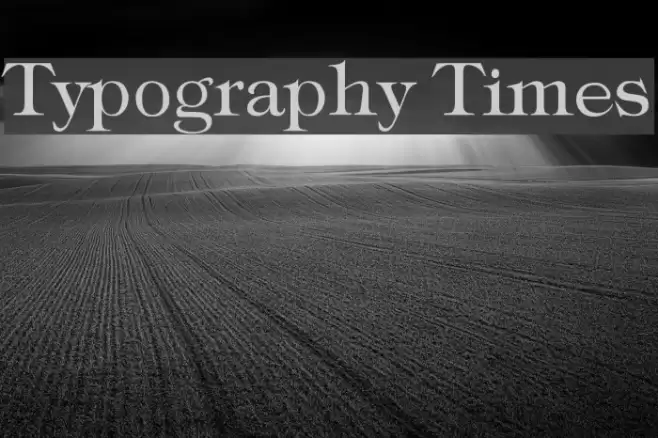Typography Times Font examples