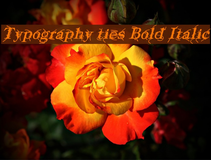 Typography ties Bold Italic Font examples