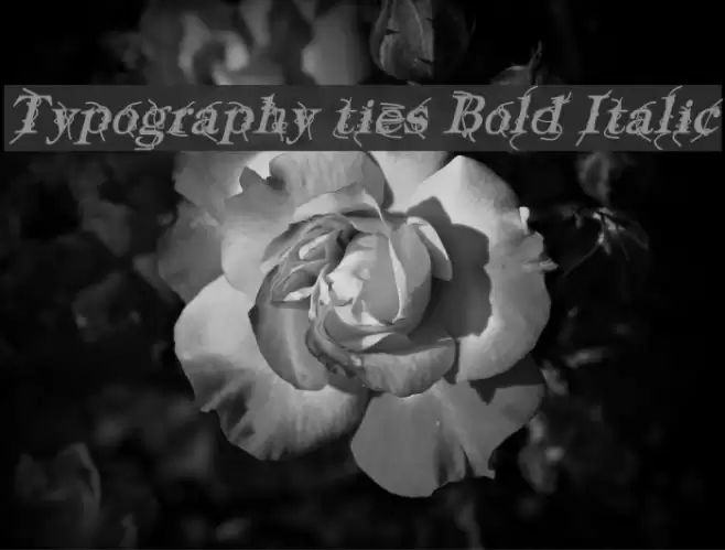 Typography ties Bold Italic Fuentes examples