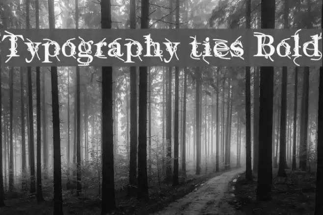 Typography ties Bold Font examples