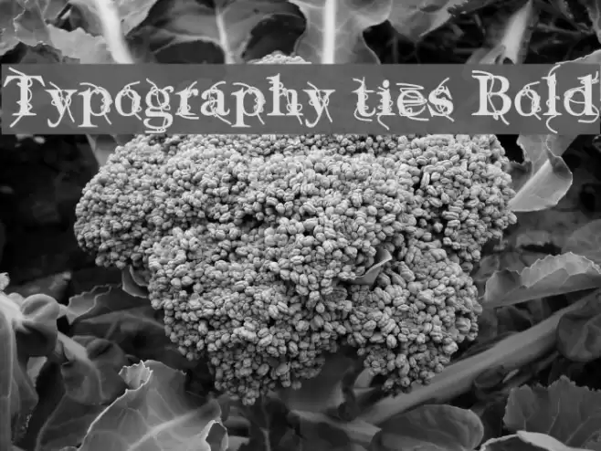 Typography ties Bold Font examples