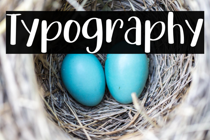 Typography Example 1