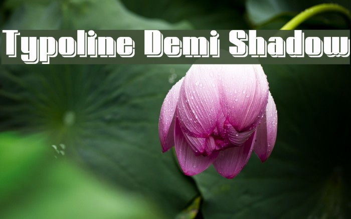 Typoline Demi Shadow Font examples