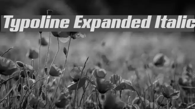 Typoline Expanded Italic Font examples