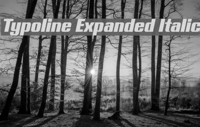 Typoline Expanded Italic Font examples