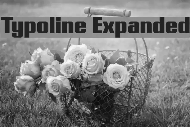 Typoline Expanded Fonte examples