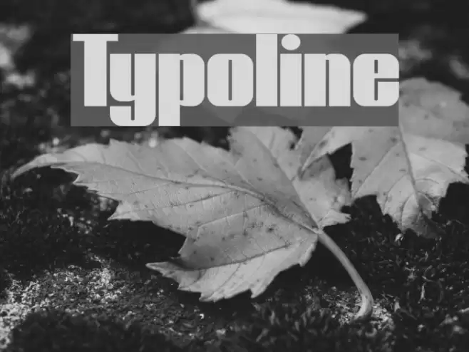 Typoline Font examples