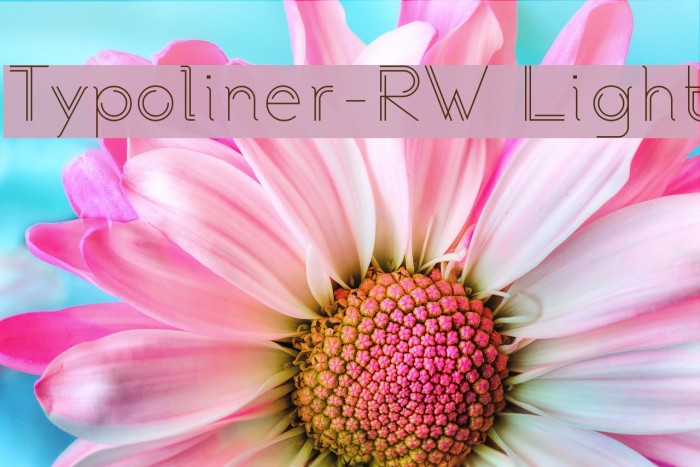 Typoliner-RW Light Font examples