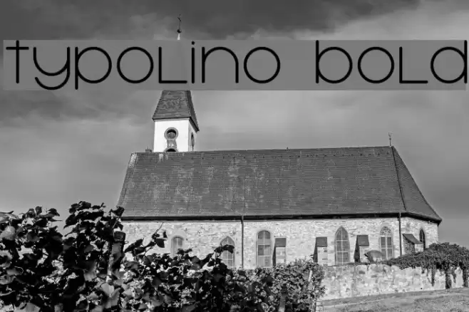 Typolino Bold Font examples
